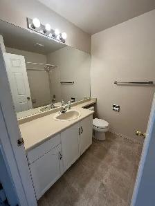 3 Bed/2FullBath-WalkToUofA-InSuiteLaundry-Utilities Included - Photo 6