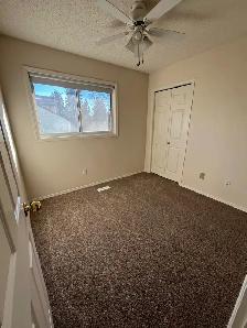 3 Bed/2FullBath-WalkToUofA-InSuiteLaundry-Utilities Included - Photo 7