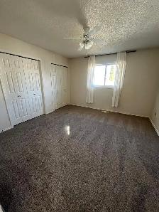 3 Bed/2FullBath-WalkToUofA-InSuiteLaundry-Utilities Included - Photo 8