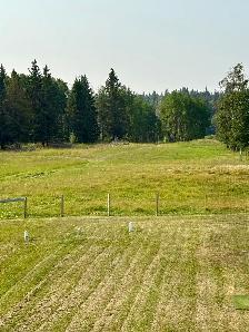 6.76 Acres - Photo 4