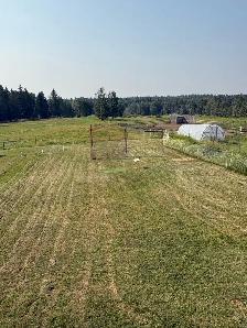 6.76 Acres - Photo 5