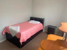 STUDENT RENTAL – 3 BEDROOM HOUSE | THOROLD | MINUTES TO BROCK - Photo 10