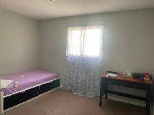 STUDENT RENTAL – 3 BEDROOM HOUSE | THOROLD | MINUTES TO BROCK - Photo 15