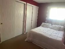 STUDENT RENTAL – 3 BEDROOM HOUSE | THOROLD | MINUTES TO BROCK - Photo 16