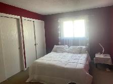 STUDENT RENTAL – 3 BEDROOM HOUSE | THOROLD | MINUTES TO BROCK - Photo 20