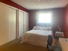 STUDENT RENTAL – 3 BEDROOM HOUSE | THOROLD | MINUTES TO BROCK - Photo 23