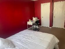 STUDENT RENTAL – 3 BEDROOM HOUSE | THOROLD | MINUTES TO BROCK - Photo 25