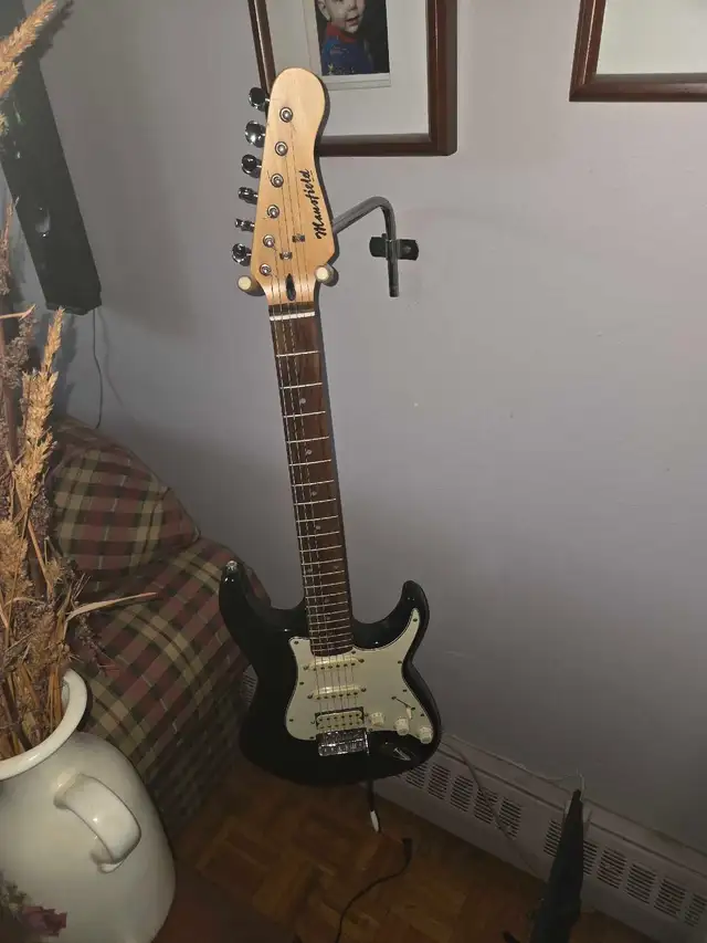 vente ou échange guitare électrique .