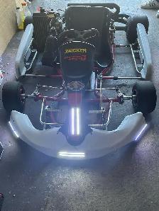 Rotax Racing go kart - Photo 4