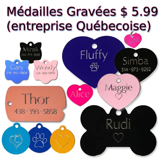 Médaille Gravée pour Chien et Chat avec Collier réfléchissant
