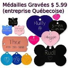 Médaille Gravée pour Chien et Chat avec Collier réfléchissant