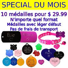 Médaille Gravée pour Chien et Chat avec Collier réfléchissant - Photo 3