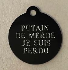 Médaille Gravée pour Chien et Chat avec Collier réfléchissant - Photo 6