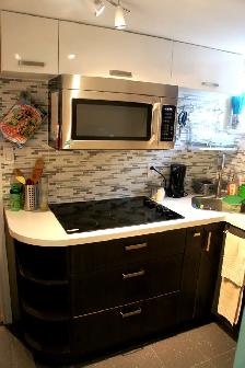 TOP TO BOTTOM NEWLY RENOVATED LUXURIOUS ROOMS FOR RENT (FEMALES) - Photo 9