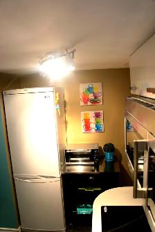 TOP TO BOTTOM NEWLY RENOVATED LUXURIOUS ROOMS FOR RENT (FEMALES) - Photo 10