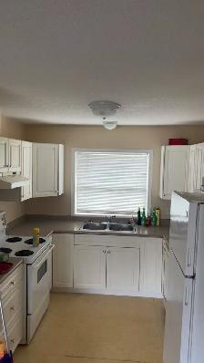 1 Bedroom Apartment for rent - Photo 3
