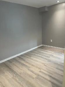 One bedroom basement apartment, Newmarket