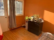 2 1/2  avec terrasse - Photo 2