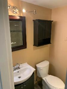Nice 1 bedroom daylight, basement suite College Heights - Photo 8