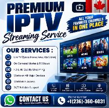 PREMIUM 4K QUALITY CONTENT -- SETUP