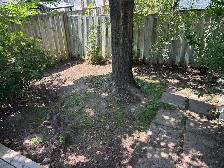 grass cutting & weed removal - Photo 9