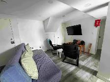 Fall Sublet, 19 min bus to Carleton, 23 min to UOttawa - Photo 4