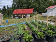 Acreage for Sale - Photo 4