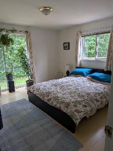 Acreage for Sale - Photo 8