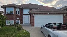 House for rent