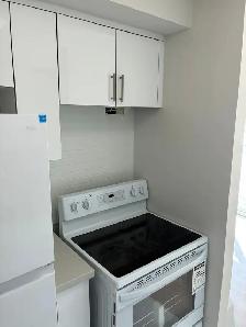 Beautiful Renovated 2 Bedroom in Belleville
