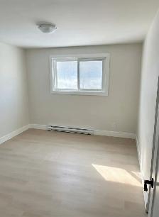 Beautiful Renovated 2 Bedroom in Belleville - Photo 3