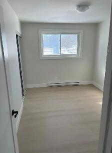 Beautiful Renovated 2 Bedroom in Belleville - Photo 4