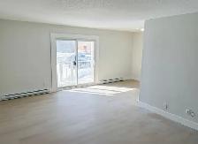Beautiful Renovated 2 Bedroom in Belleville - Photo 5
