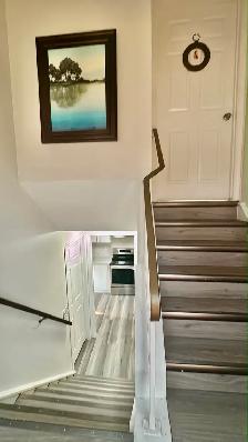 Brand new 2 bedroom bsmt in templeview way NE - Photo 2