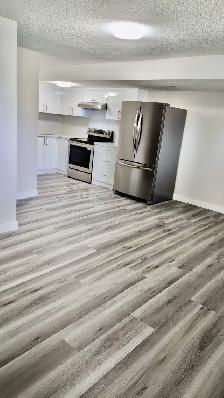 Brand new 2 bedroom bsmt in templeview way NE - Photo 3