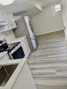 Brand new 2 bedroom bsmt in templeview way NE - Photo 4