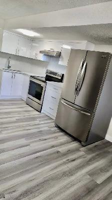 Brand new 2 bedroom bsmt in templeview way NE - Photo 5