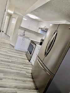 Brand new 2 bedroom bsmt in templeview way NE - Photo 6