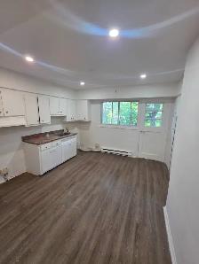 large 2 bdrm   Den Lachine