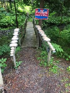 Bois en rondins et rondelles en vente à prix sublimes
