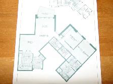 2 bedrooms  2 bathrooms  Dows Lake/Glebe