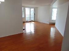 2 bedrooms  2 bathrooms  Dows Lake/Glebe - Photo 5