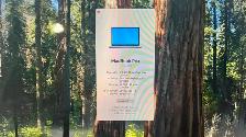 Apple MacBook Pro, 15-inch, 1TB. - Photo 2