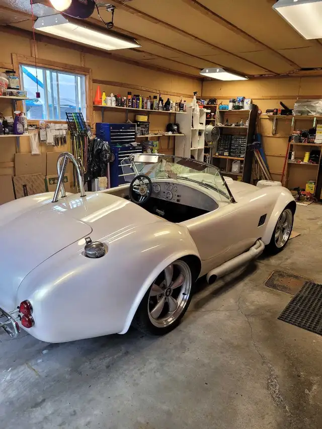 Cobra Exceptionnel
