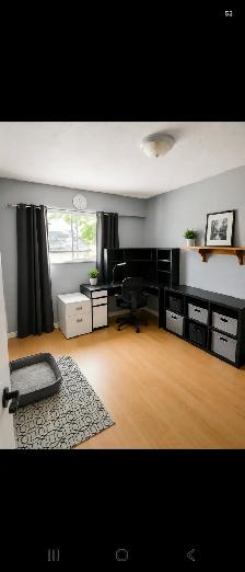 Full house for rent - Photo 8