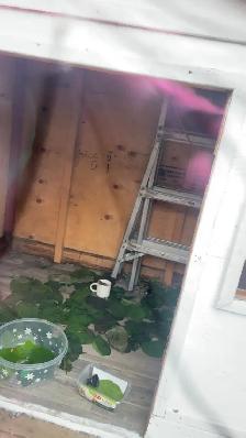 play house - Photo 2