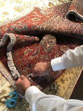 Rug appraisal for insurance purposes at Caspian Rugs Centre - Photo 7