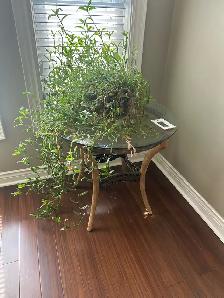 Coffee and Side Tables! - Photo 4