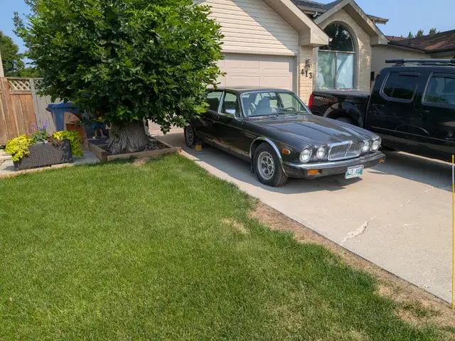 1986 Jaguar Vanden Plas , engine still starts ,clean interior