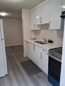 Basement for rent